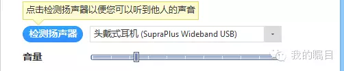 視頻會議系統檢查揚聲器