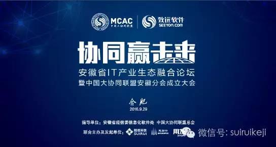 安徽省IT產(chǎn)生生態(tài)融合論壇