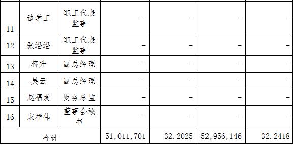 隨銳科技:股票發行情況