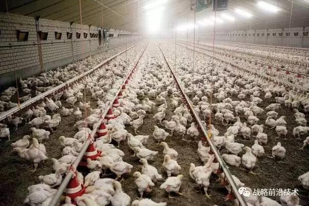 抗生素耐藥性問題將在2017年出現一個可怕的引爆點