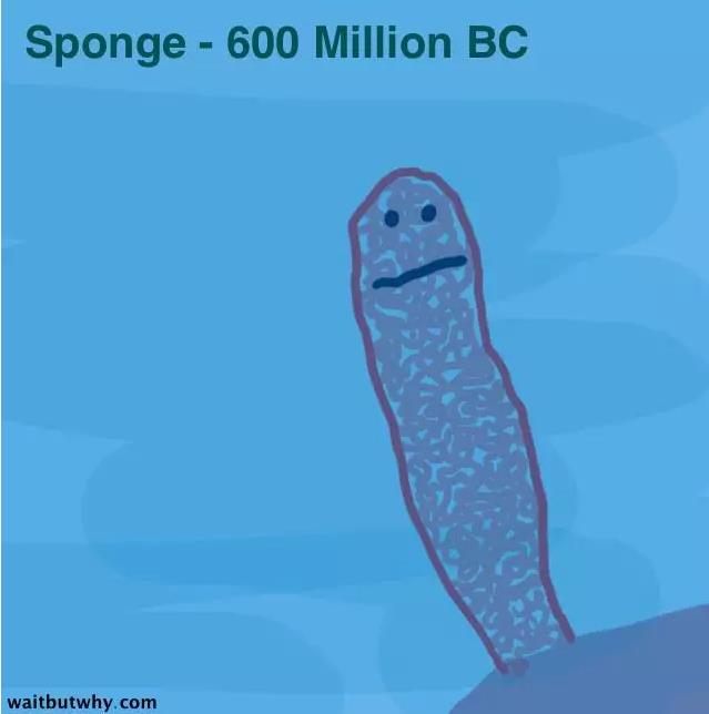 馬斯克腦機融合系統(tǒng)Neuralink