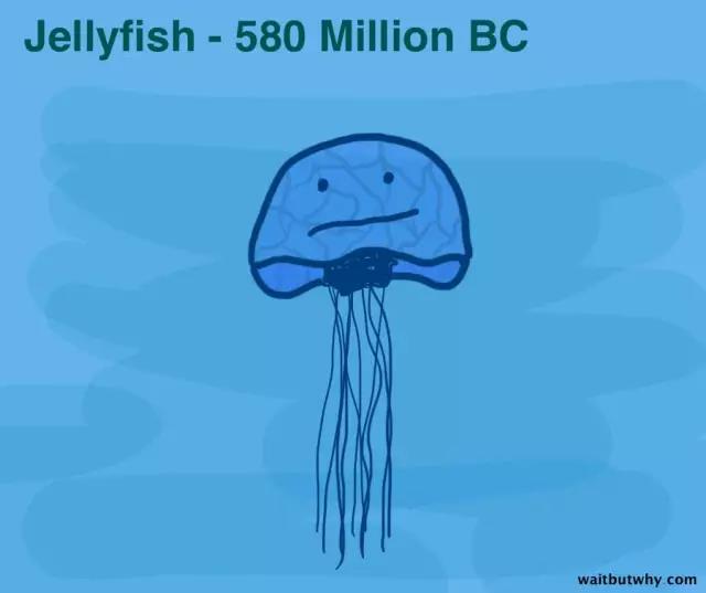 馬斯克腦機融合系統(tǒng)Neuralink