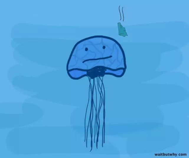 馬斯克腦機融合系統(tǒng)Neuralink