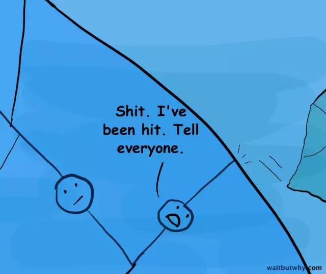 馬斯克腦機融合系統(tǒng)Neuralink