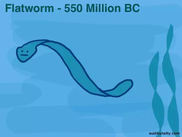 馬斯克腦機融合系統(tǒng)Neuralink