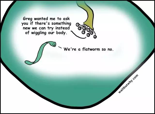 馬斯克腦機融合系統(tǒng)Neuralink