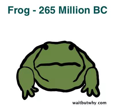 馬斯克腦機融合系統(tǒng)Neuralink