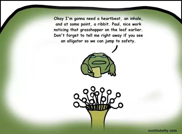 馬斯克腦機融合系統(tǒng)Neuralink