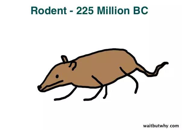 馬斯克腦機融合系統(tǒng)Neuralink