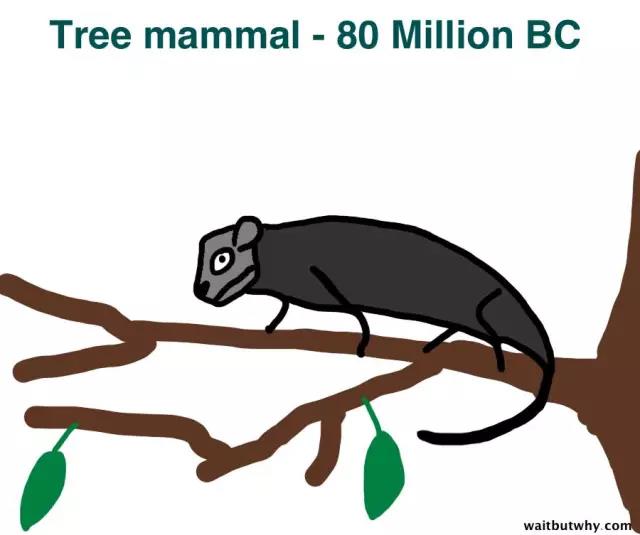 馬斯克腦機融合系統(tǒng)Neuralink