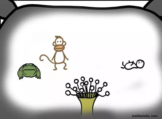 馬斯克腦機融合系統(tǒng)Neuralink