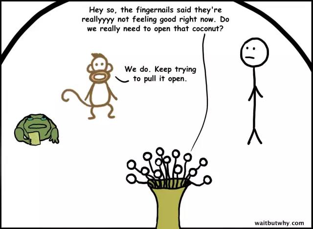 馬斯克腦機融合系統(tǒng)Neuralink