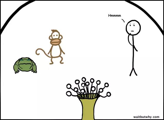 馬斯克腦機融合系統(tǒng)Neuralink