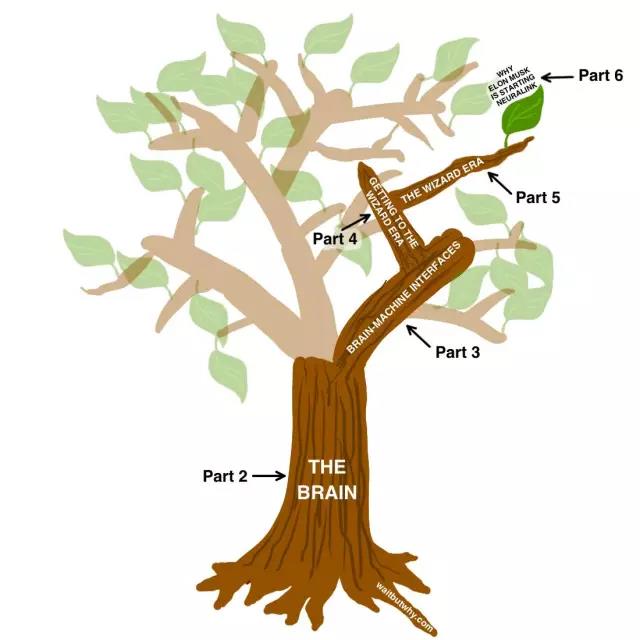 馬斯克腦機融合系統(tǒng)Neuralink