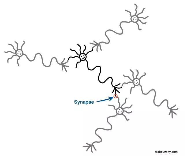 馬斯克腦機融合系統(tǒng)Neuralink