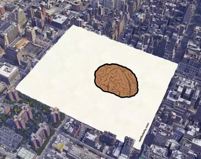 馬斯克腦機融合系統(tǒng)Neuralink