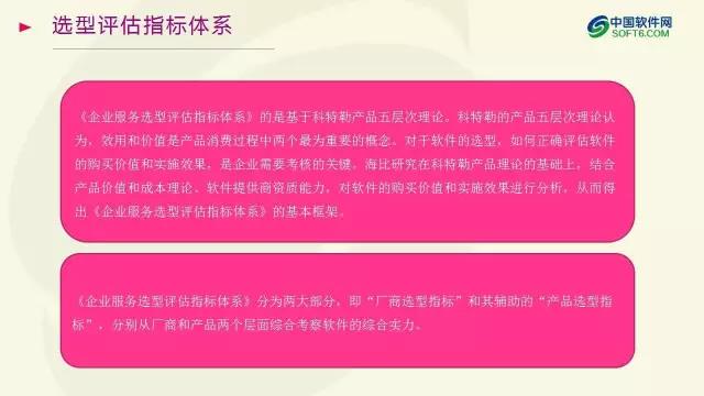 中國企業服務選型研究報告